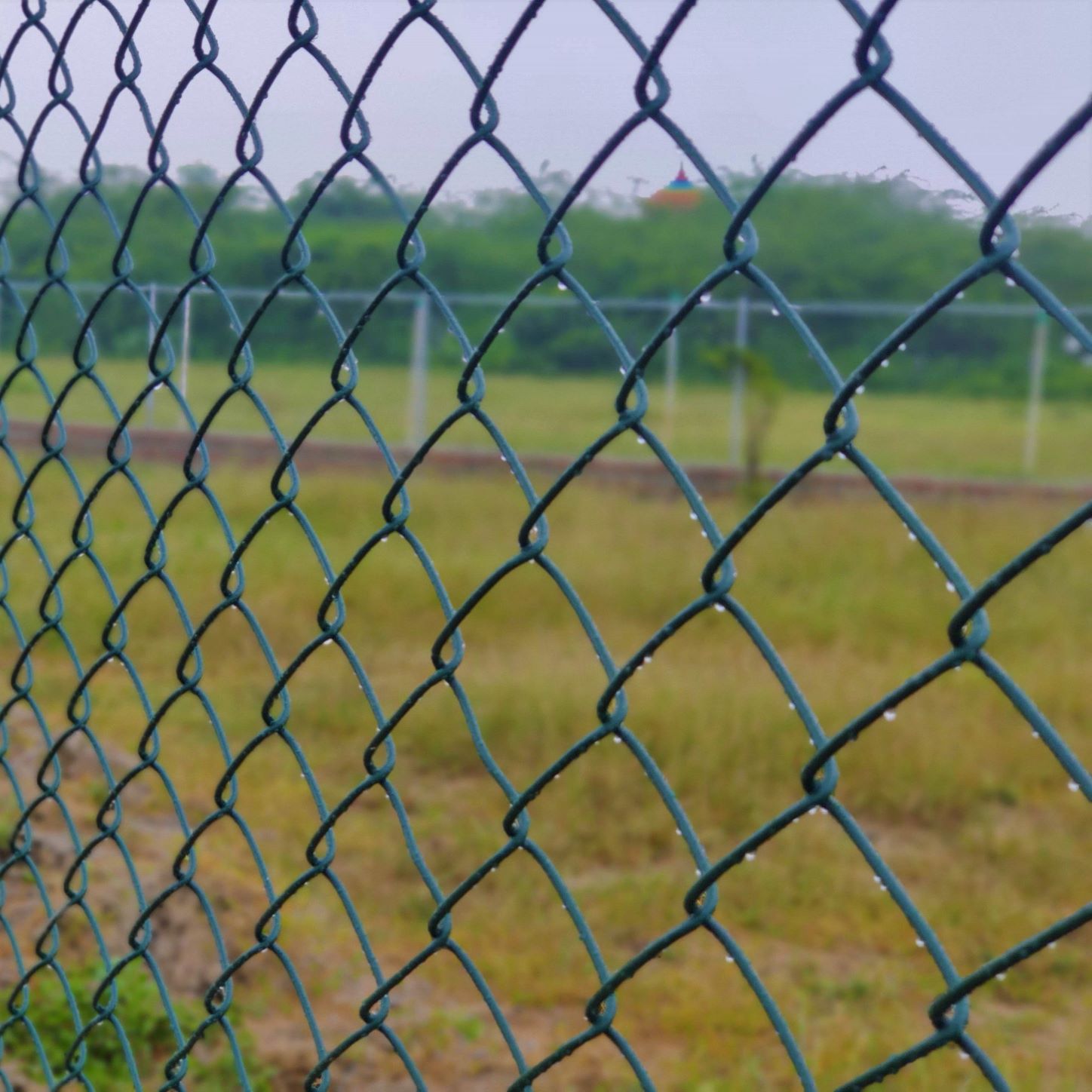 chain link fence green